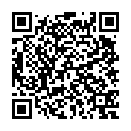 QR code for LLZ431