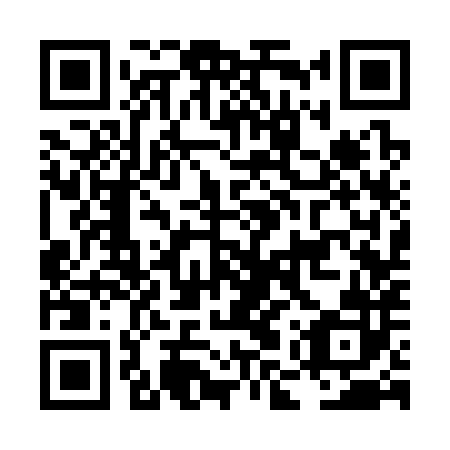 QR code for plate LMS-382