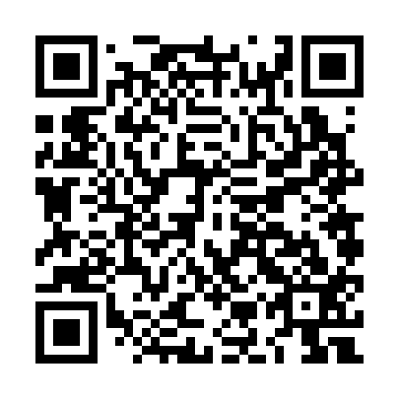 QR code for LMV-313