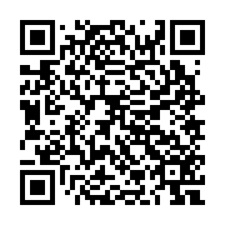 QR code for plate LMZ-356