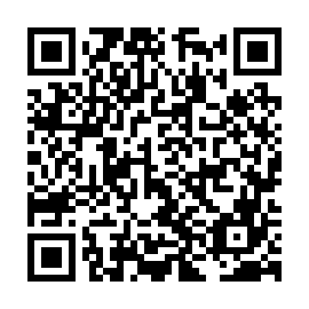 QR code for plate LNN-266