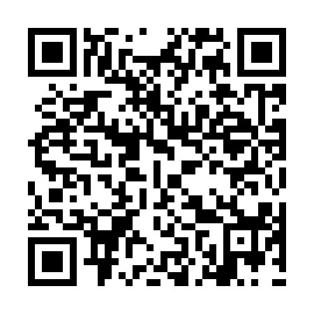QR code for LNY918