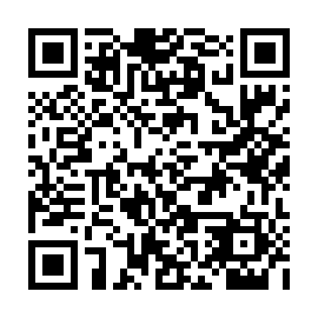 QR code for LOZ603