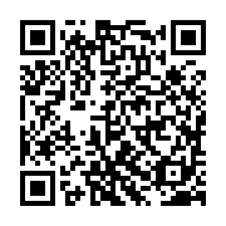 QR code for LPZ-991
