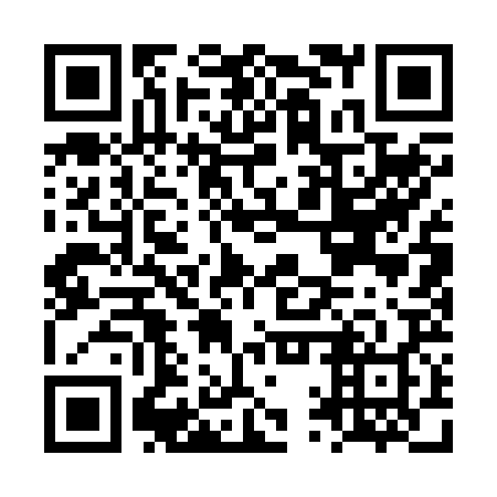 QR code for plate LQQ-228