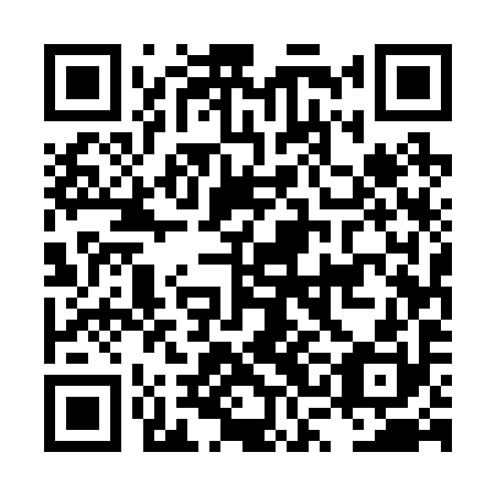 QR code for plate LSE-290