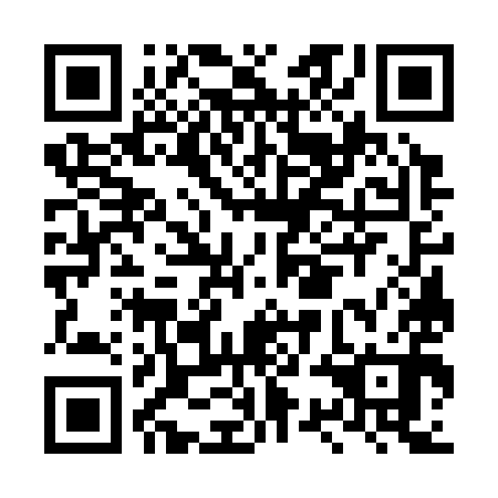 QR code for LSG-390