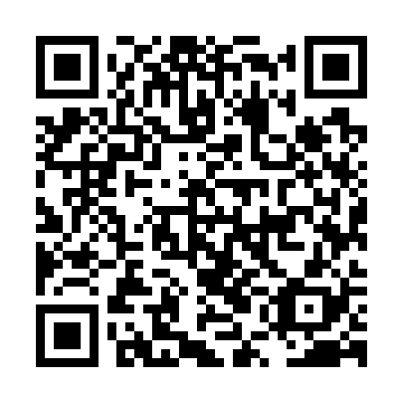 QR code for plate LUM-728