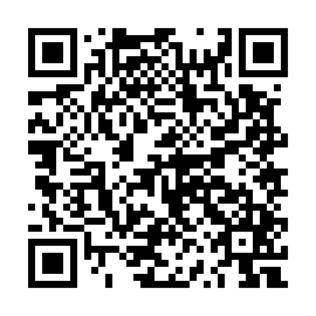 QR code for plate LVZ-545