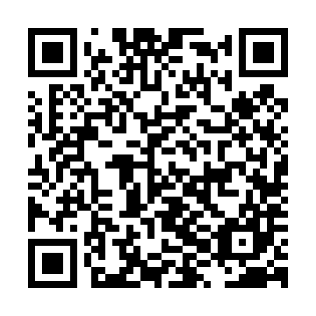 QR code for plate LXF-487