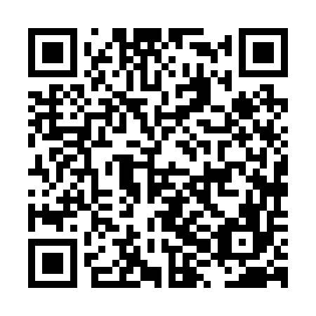 QR code for plate LXH-256
