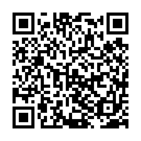 QR code for plate LXH-613