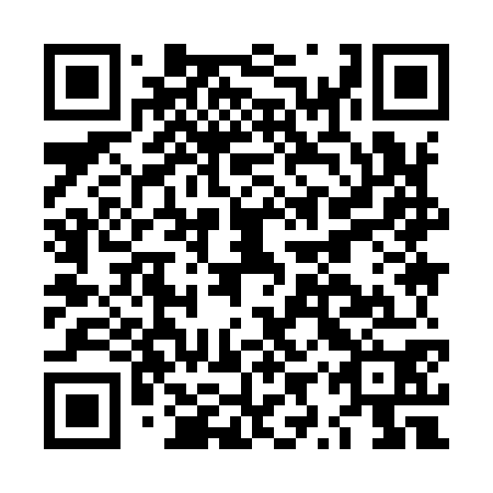 QR code for plate LYY-970