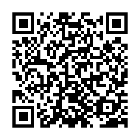 QR code for LZN509
