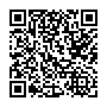 QR code for LZZ-953