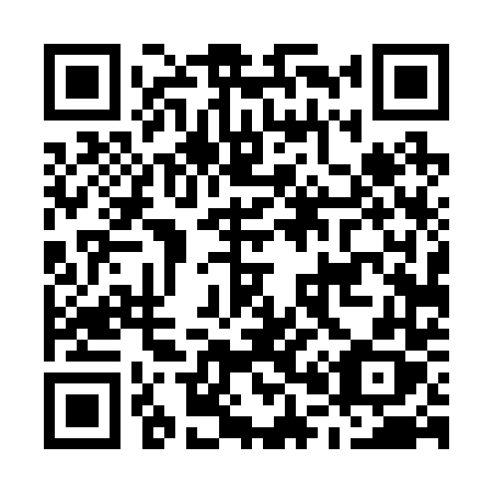 QR code for plate M04-24X