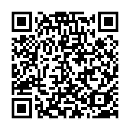 QR code for plate M07-11I