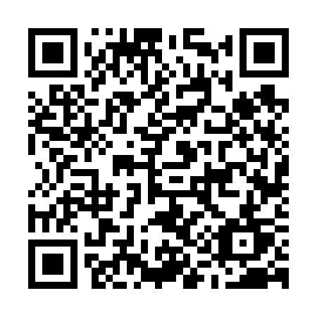 QR code for plate M16-63T