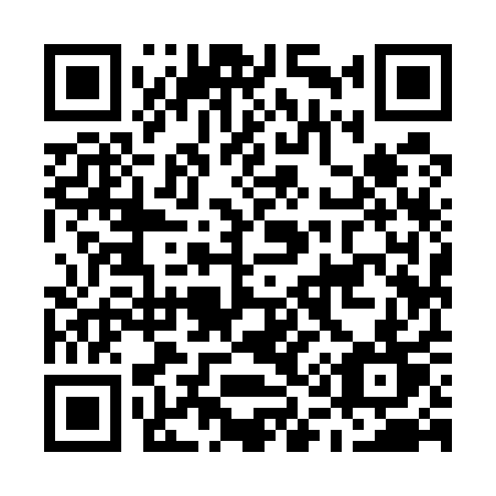QR code for plate M19-51T