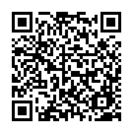 QR code for plate M46-96D