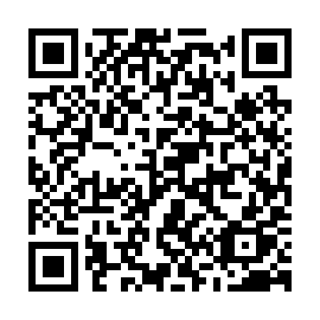 QR code for plate M65-29P