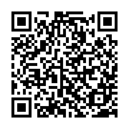 QR code for plate MFV-382