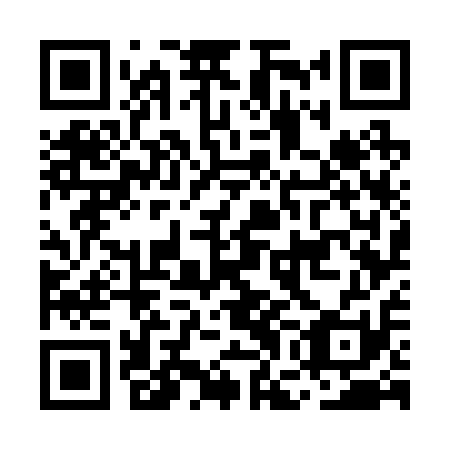 QR code for MGG211