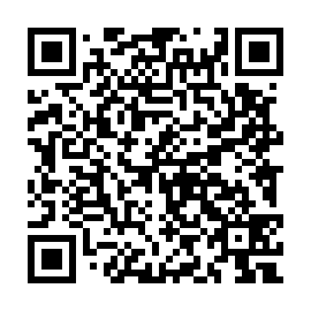 QR code for plate MIL-539