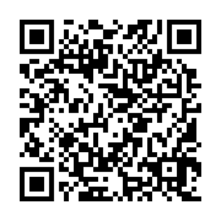 QR code for plate MJM-306