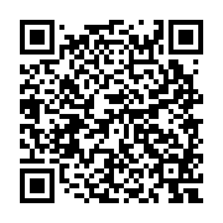 QR code for MOP384