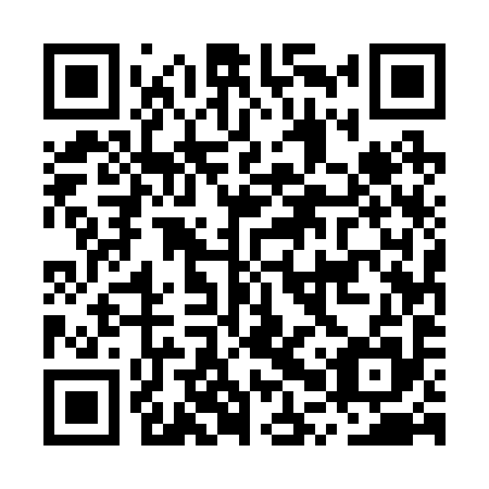 QR code for MPU295