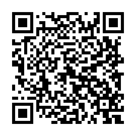 QR code for plate MXL-917