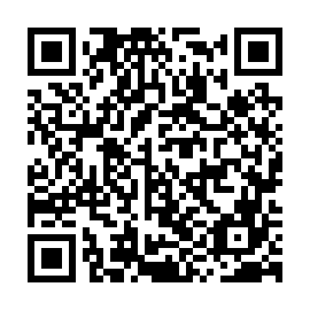 QR code for plate MYN-266