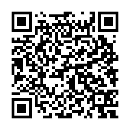 QR code for plate MYN-334