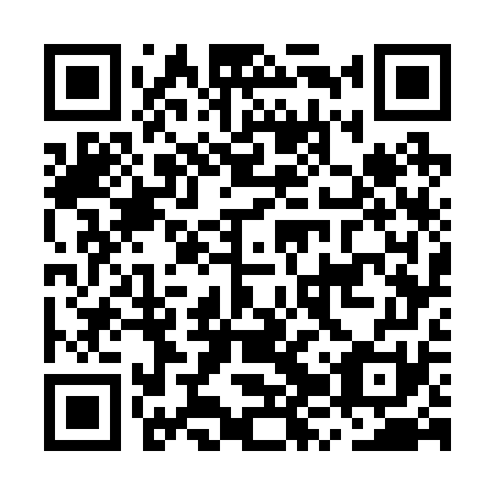 QR code for plate MZW-271
