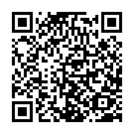 QR code for N0010Z