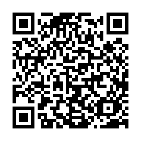 QR code for plate N00-51O
