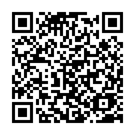 QR code for N01-17E