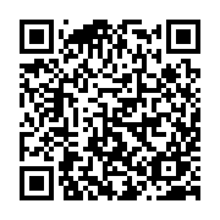 QR code for plate N01-39W