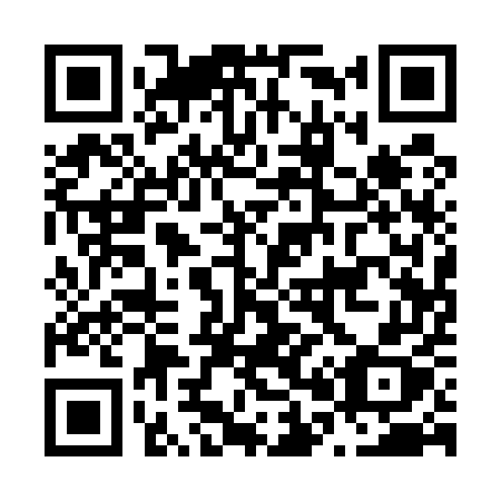 QR code for plate N01-55X