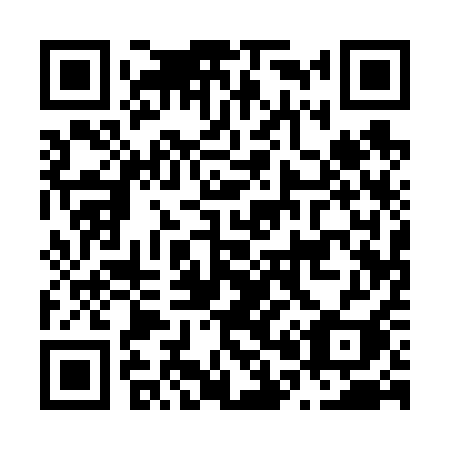 QR code for N0161I