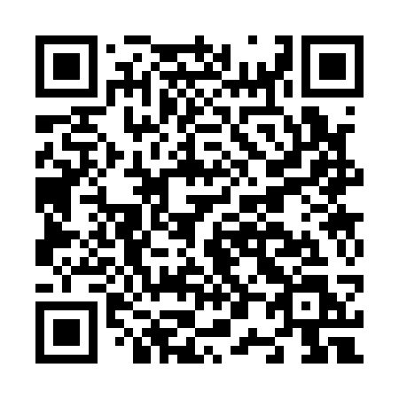 QR code for N0313L