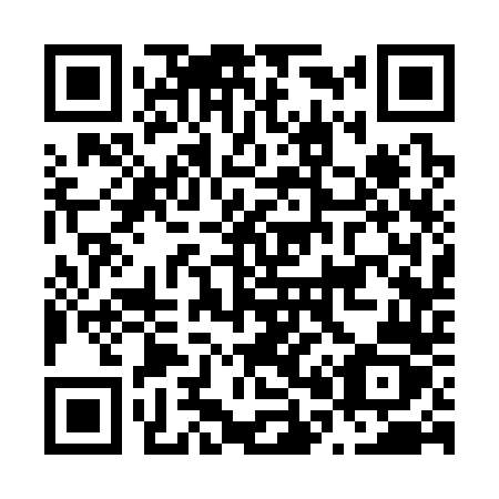 QR code for N0334Z