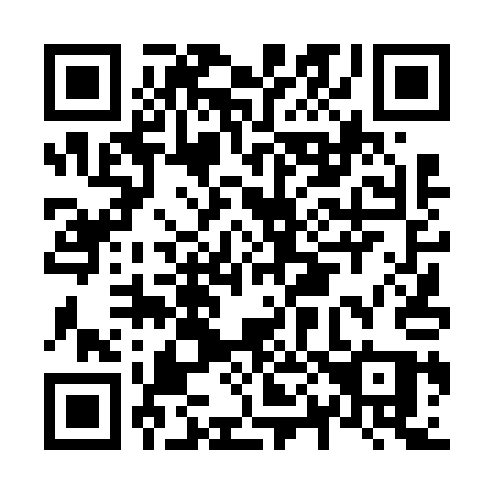 QR code for N0461Q
