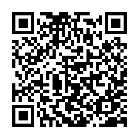 QR code for N06-28T
