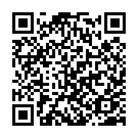 QR code for N0650P