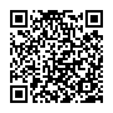 QR code for N0666T