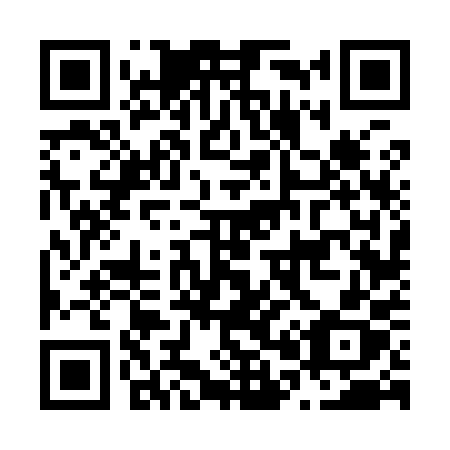 QR code for N0690X