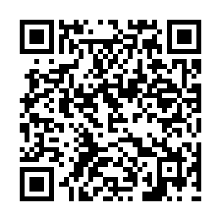 QR code for N09-30Z
