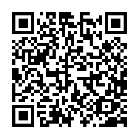QR code for N1004X